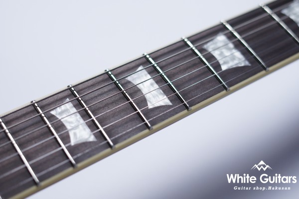 Z22QQ - Trans Red Burst